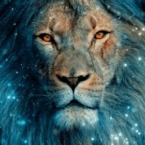 Meet your Posher, Roz